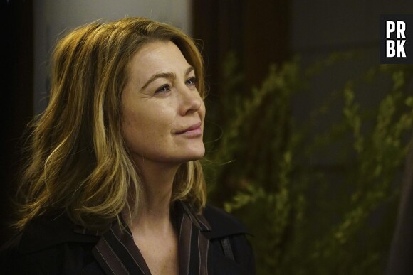 Grey's Anatomy saison 12, épisode 16 : Ellen Pompeo (Meredith) sur une photo