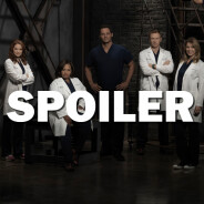 Grey&#039;s Anatomy saison 12 : Meredith va-t-elle saboter un mariage dans le final ?