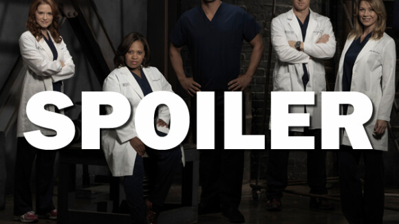 Grey's Anatomy saison 12 : Meredith va-t-elle saboter un mariage dans le final ?