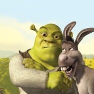 Shrek : un nouveau film + un spin-off à venir ?