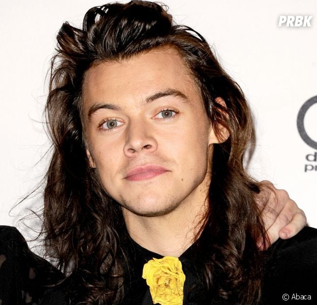 Harry Styles lance sa carrière solo