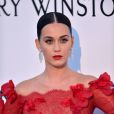     Katy Perry dévoile "Rise" pour les JO de Rio 2016 en hommage aux victimes de Nice ?    