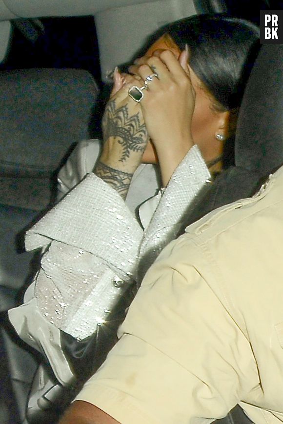 Rihanna est allée suprendre Drake en plein concert avant de l'enlacer dans ses bras.