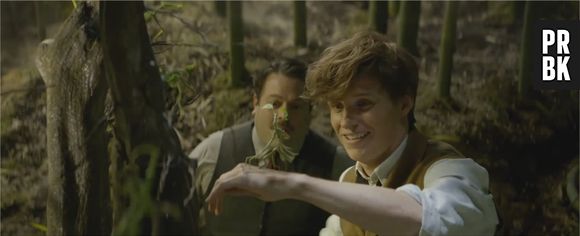 Les Animaux Fantastiques : nouvelle bande-annonce