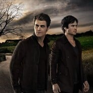 The Vampire Diaries saison 8 : fin mortelle pour Damon et Stefan ? Les acteurs en rêvent