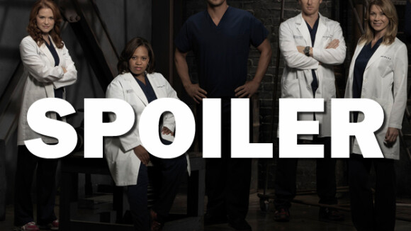 Grey's Anatomy saison 13 : Alex et Jo bientôt réunis ? Justin Chambers répond