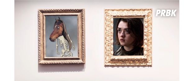 Game of Thrones : série vs livres, à quoi ressemblent vraiment les personnages ?