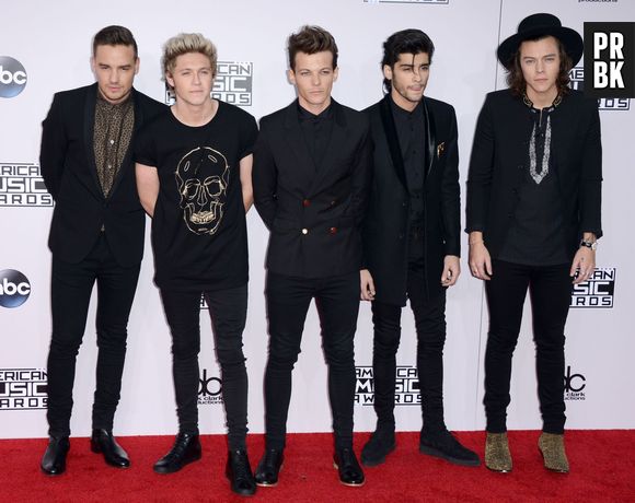 Liam Payne : les critiques de Zayn Malik sur les One Direction ? "Je ne comprends pas"