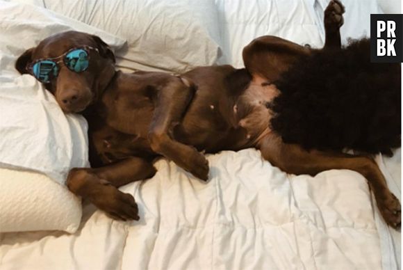 Amber Rose nue : sa photo inspire un challenge WTF