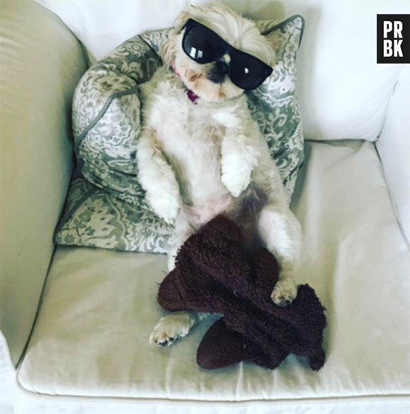 Amber Rose nue : sa photo inspire un challenge WTF