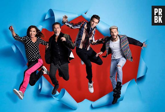 The Voice : les salaires des coachs balancés