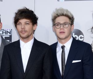 Niall Horan et Louis Tomlinson se clashent avec humour sur Twitter