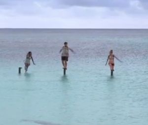 Koh Lanta Fidji : l'épreuve des poteaux