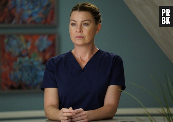 Grey's Anatomy saison 14, épisode 9 : Meredith sur une photo