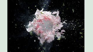 "The Middle" : Zedd de retour avec un titre explosif ?