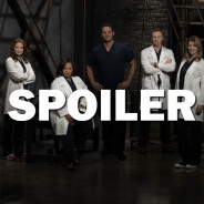 Grey&#039;s Anatomy saison 14 : un personnage complètement oublié bientôt de retour