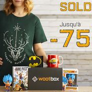 Harry Potter, Dragon Ball, DC... Wootbox fait les soldes !