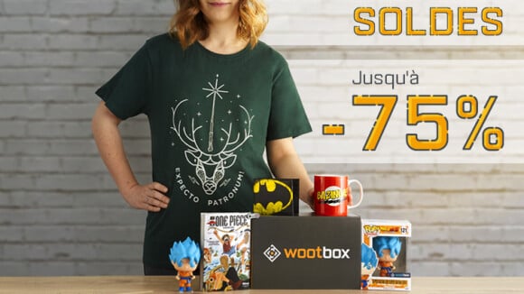 Harry Potter, Dragon Ball, DC... Wootbox fait les soldes !