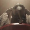 Dumbo prend son envol dans une bande-annonce émouvante