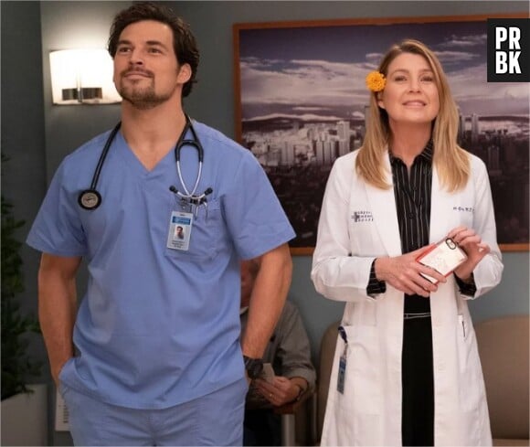 Grey's Anatomy saison 12 : Meredith et DeLuca en couple ? Les fans auront un rôle à jouer