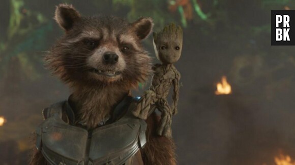 Les Gardiens de la Galaxie : des fans veulent voir Rocket et Groot en couple