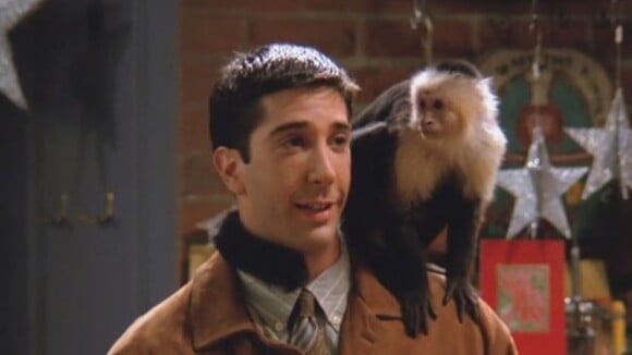 Friends : David Schwimmer (Ross) n'aimait pas le singe Marcel qui était une Diva sur le tournage