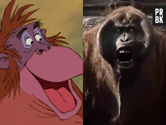 Le livre de la jungle : le Roi Louie dans le dessin-animé VS dans le film