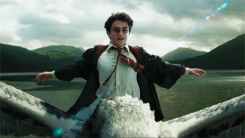 Harry Potter : 4 nouveaux livres vont sortir cet été
