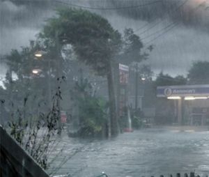 Crawl d'Alexandre Aja au cinéma le 24 juillet.