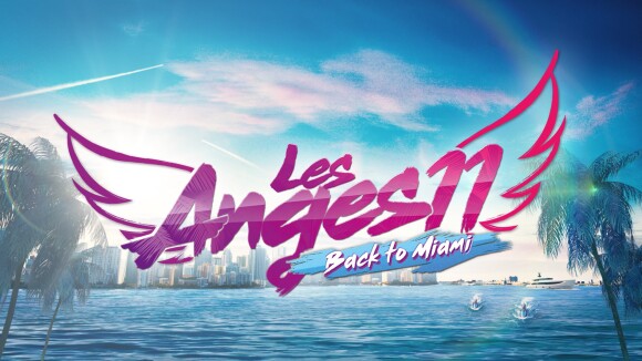 Les Anges 12 : un candidat soupçonné d'avoir agressé un handicapé, NRJ12 dément