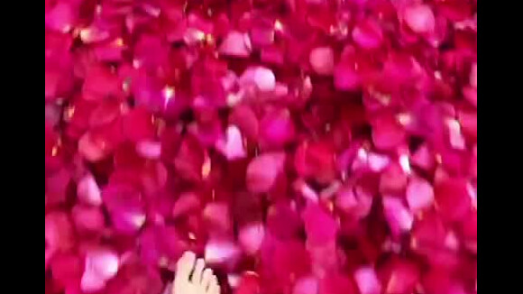Kylie Jenner a bientôt 22 ans : Travis Scott a rempli leur villa de pétales de roses pour son anniversaire