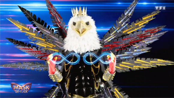 Mask Singer : fuites, playback... les réponses aux questions que vous vous posez sur l'émission