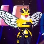 Mask Singer : quelles célébrités se cachent sous les masques ? Les théories des internautes