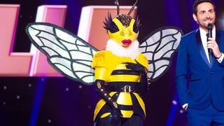 Mask Singer : quelles célébrités se cachent sous les masques ? Les théories des internautes