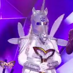 Gagnant Mask Singer : la licorne remporte l'émission, les identités des autres célébrités révélées