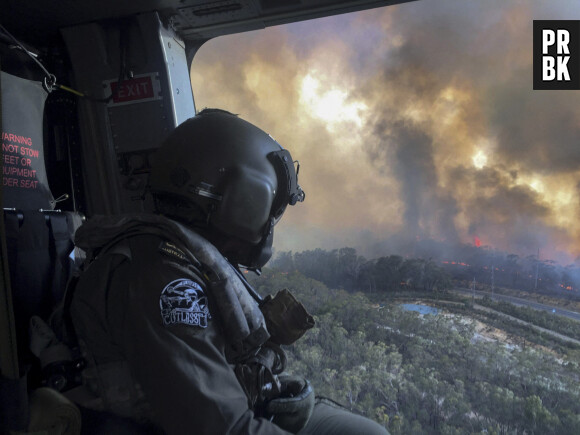 Incendies en Australie : Pink, Nicole Kidman, Nabilla... les stars se mobilisent