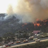 Incendies en Australie : de Nabilla à Pink, Selena Gomez ou Nicole Kidman, les stars se mobilisent