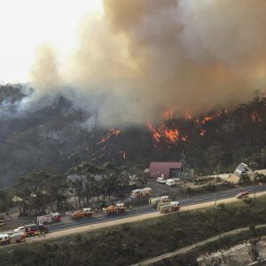 Incendies en Australie : Pink, Nicole Kidman, Nabilla... les stars se mobilisent