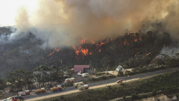 Incendies en Australie : de Nabilla à Pink, Selena Gomez ou Nicole Kidman, les stars se mobilisent