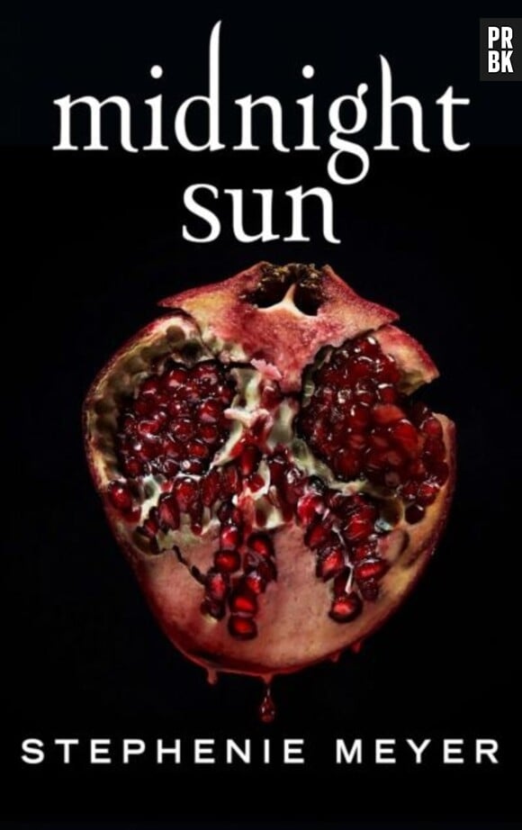 Midnight Sun : le livre est disponible !