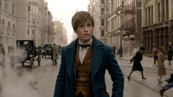 Les Animaux Fantastiques : 7 secrets sur le film
