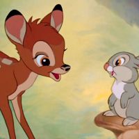 Bambi : un film français (non lié à Disney) avec de vrais animaux en préparation