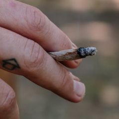 Le cannabis n'est plus une drogue dangereuse selon l'ONU qui reconnaît son "utilité médicale"
