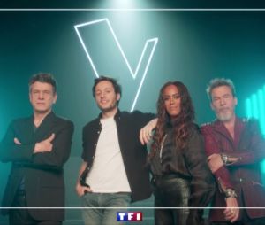 The Voice 10 : Vianney, Amel Bent... les impressionnants salaires des coachs dévoilés