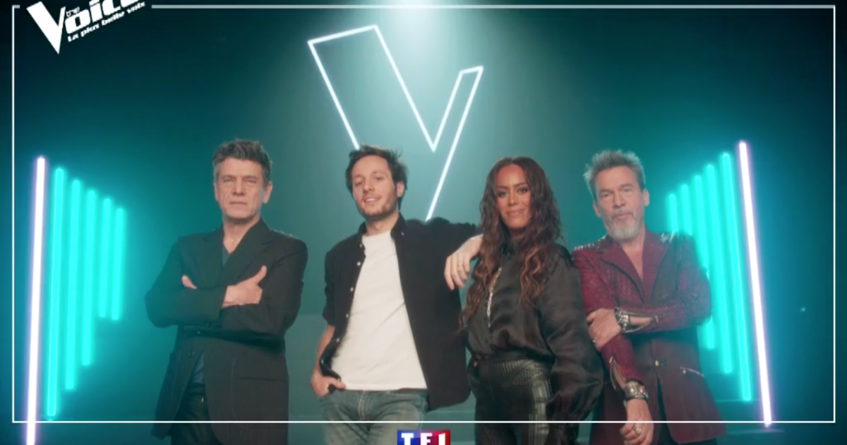 The Voice 10 : Vianney, Amel Bent... les salaires ...