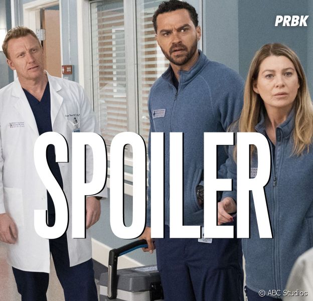Grey's Anatomy saison 17 : la série annulée cette année ? Jesse Williams réagit