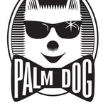 Voici les meilleurs chiens du cinéma en 2021, lauréats de la Palm Dog Wamiz