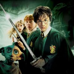 Harry Potter : un acteur a dit aux producteurs "d'aller se faire f*utre" durant les castings