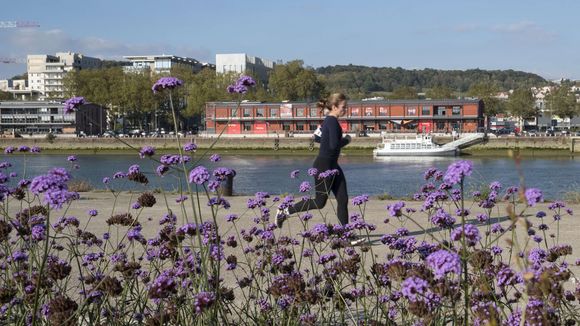 Mayenne : la joggeuse de 17 ans "enlevée et séquestrée" avoue avoir menti