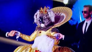 Mask Singer 4 : le Koala démasqué ! Le jury hallucine, découvrez l'identité de la star sous le costume